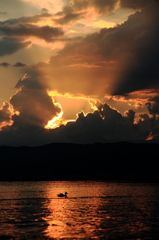 Birds on the Lake