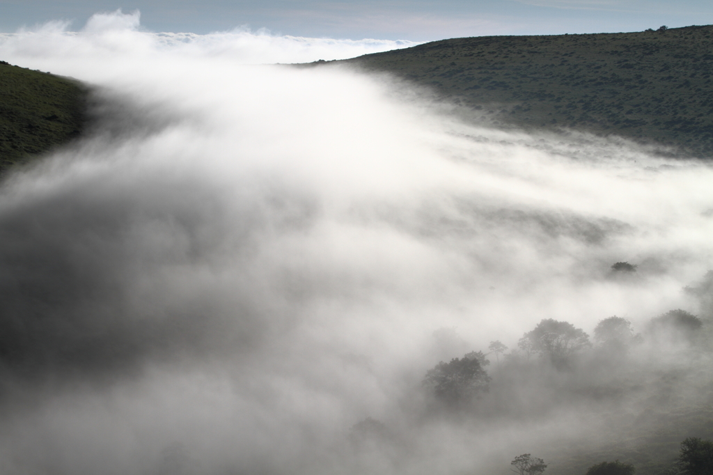 Flowing fog