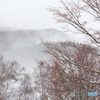 雪積もり霧流れ