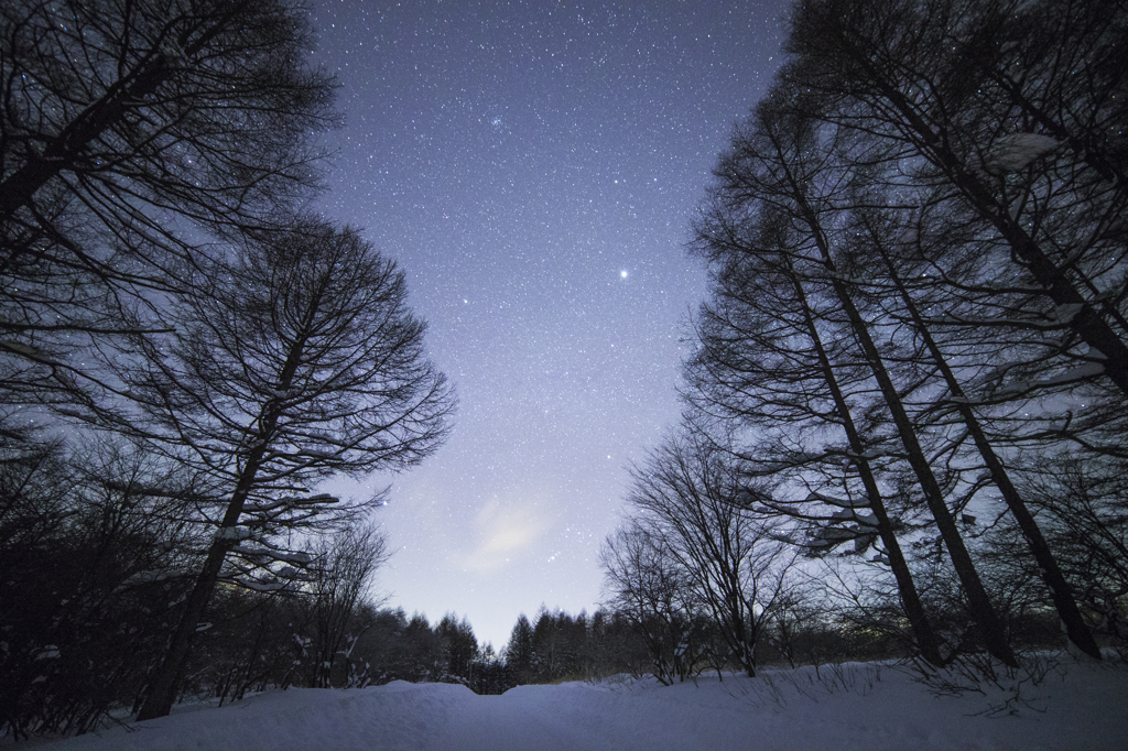 星降る霧ヶ峰高原