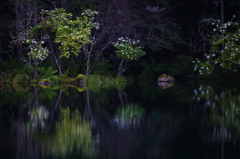 御射鹿池の朝