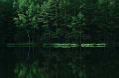 Green in green
