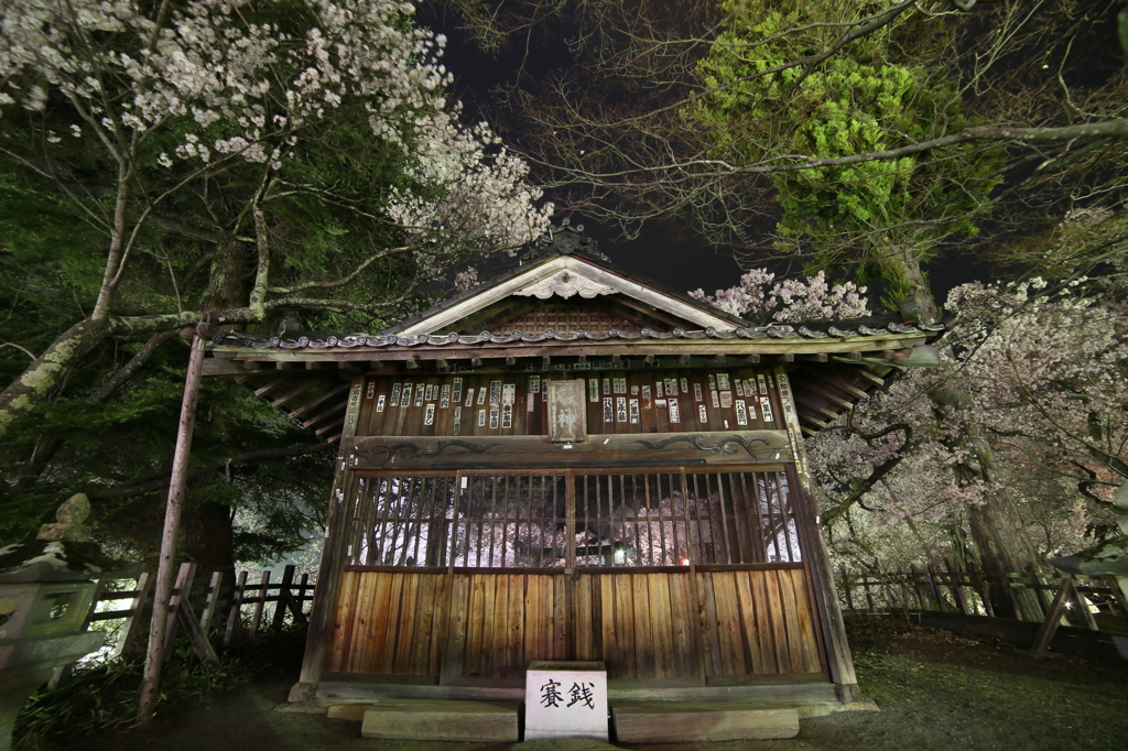 神社の窓に桜映りて