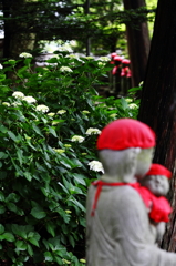 お地蔵さんと紫陽花