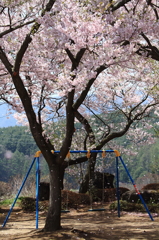 素敵なブランコ