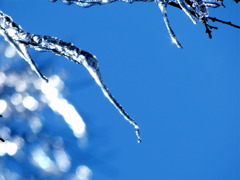 樹氷・・・・SIZUKU