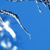 樹氷・・・・SIZUKU