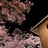 桜・・・太鼓櫓