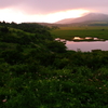 染まる湿原２