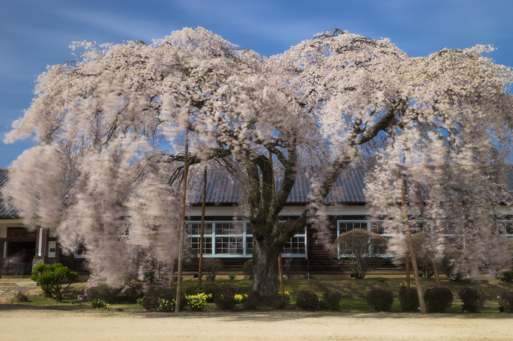 今はもうない新学期