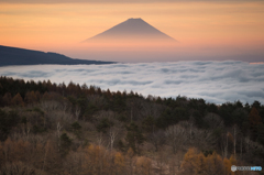 淡く浮かぶ