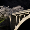 桜のトンネルとアーチ橋