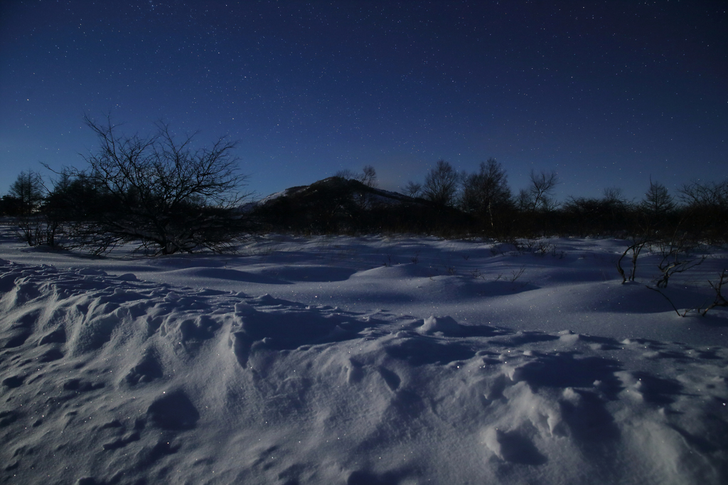 雪星