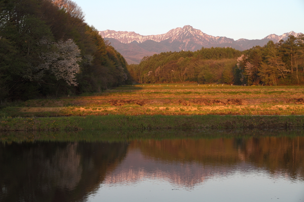 水田と八ヶ岳