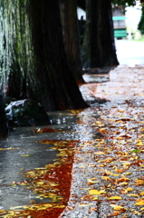 雨の日には・・・下見