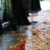 雨の日には・・・下見