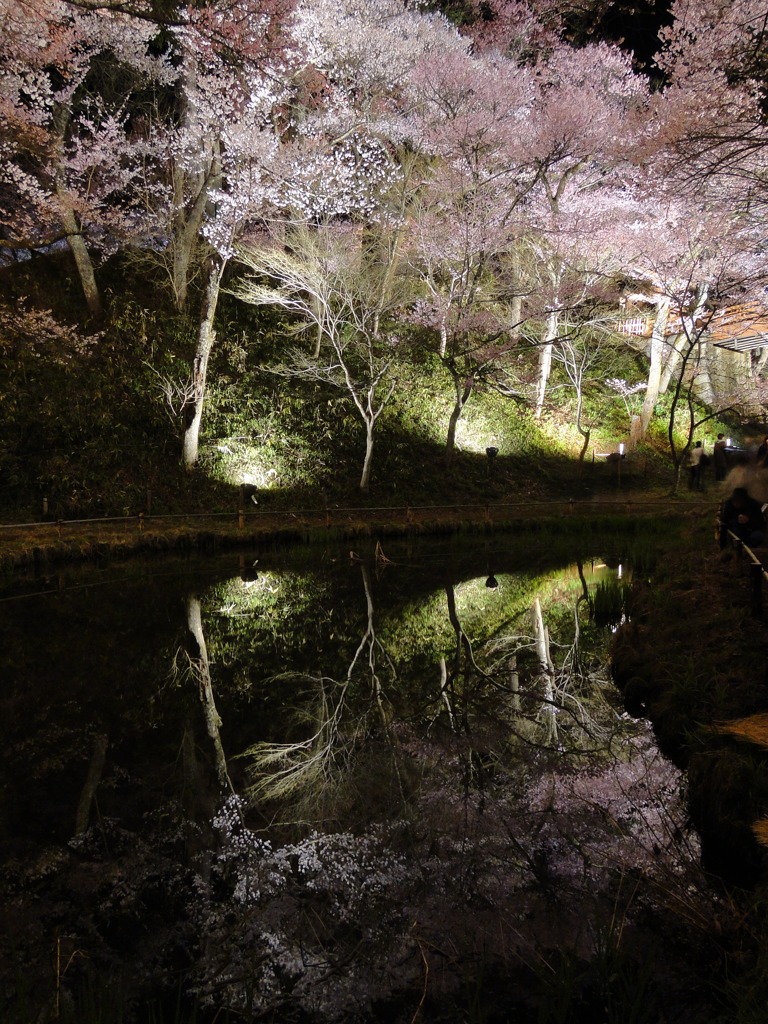 虚像の奥行き