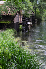 水のある風景