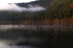 晩秋の自然湖