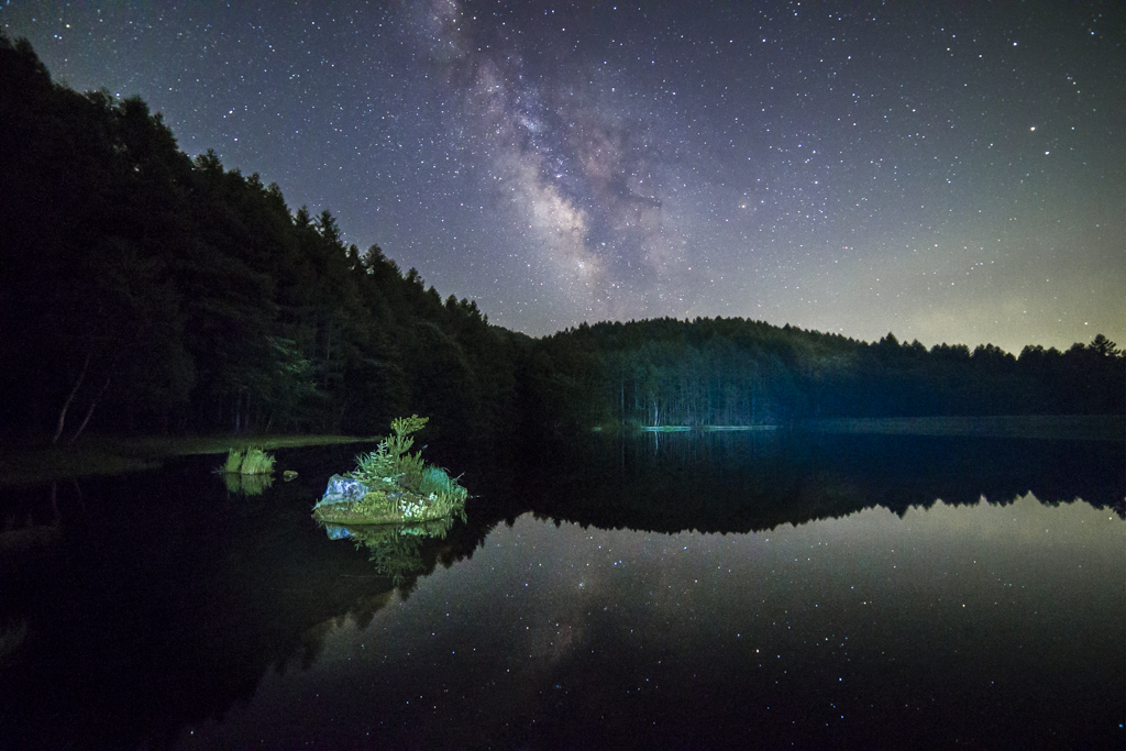 池に流れ込む星と緑響く夜