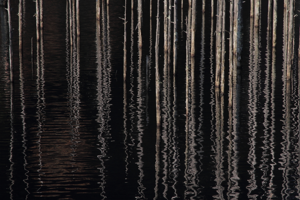 line and wave