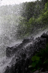 滝・・・飛沫