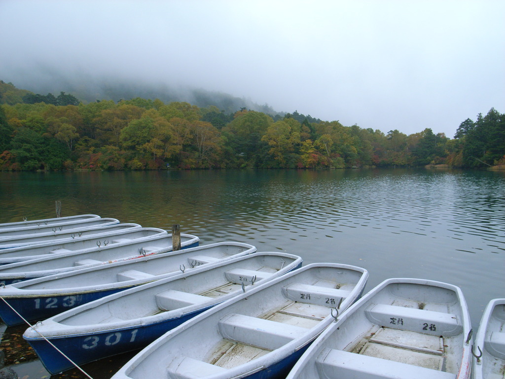 湖畔の紅葉
