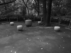 モノクロ銀塩風