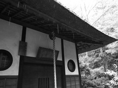 雨の平林寺