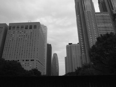 モノクロ銀塩風