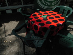 照らし出されたてんとう虫カラー