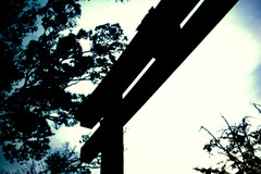 鳥居-torii-