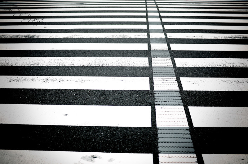 lateral stripes