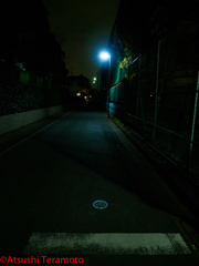 夜スナップ