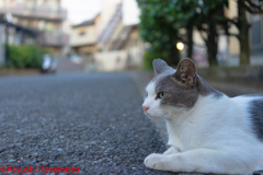 「腰をポンポンしろよ」・・・と催促
