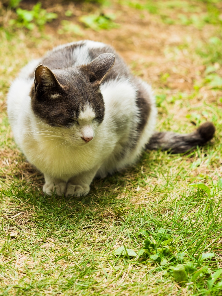 また、やって来ました(^^)