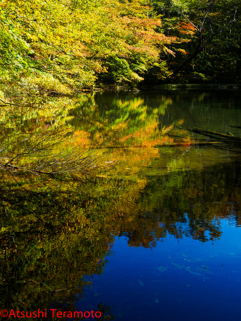 青森県・八甲田山近辺にて