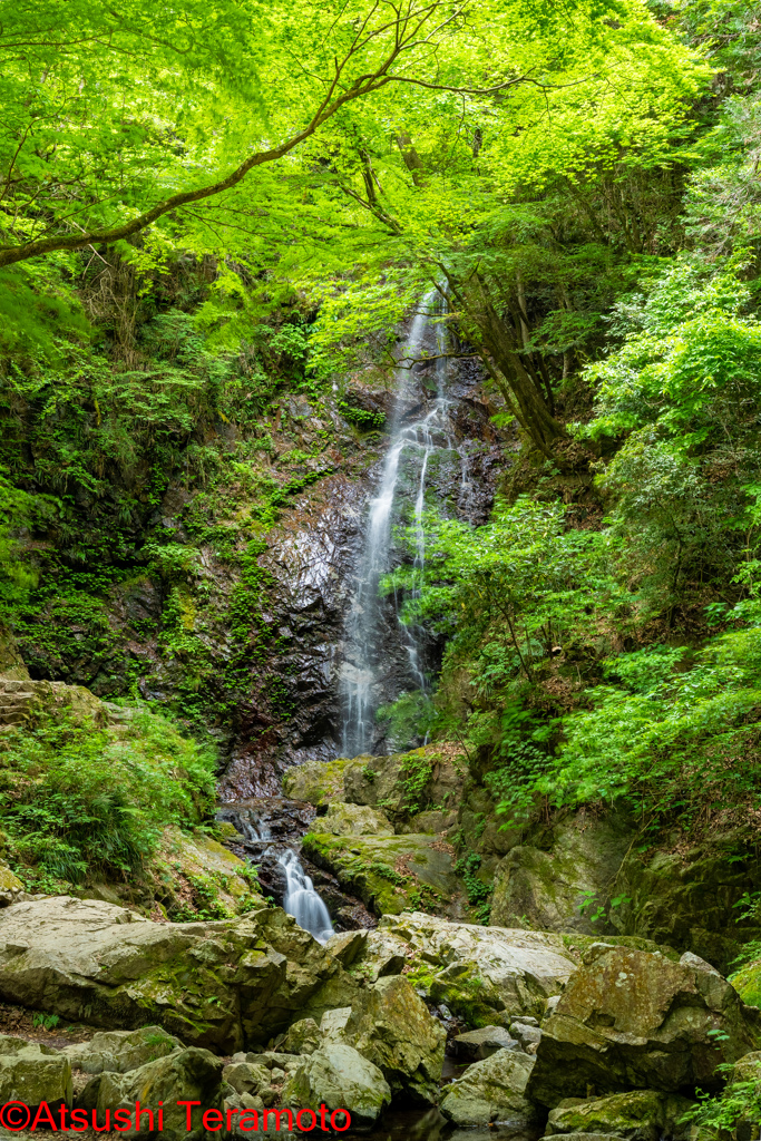 払沢の滝