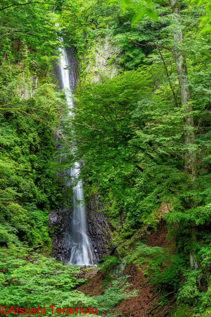 白糸の滝