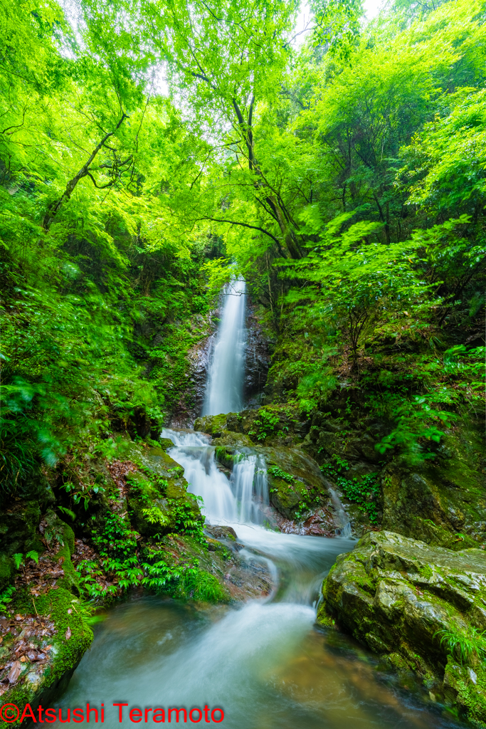 払沢の滝