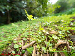 納得の１枚