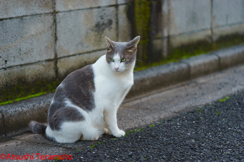 いろいろ、気になるようです・・・