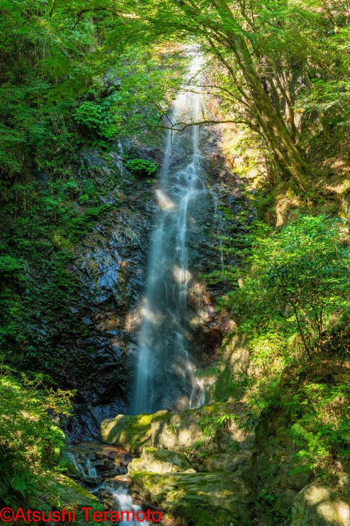 払沢の滝