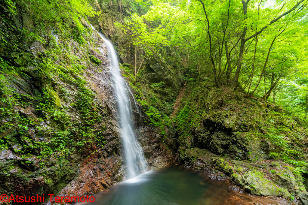 払沢の滝