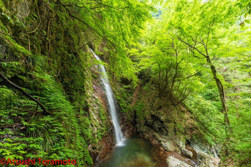 払沢の滝