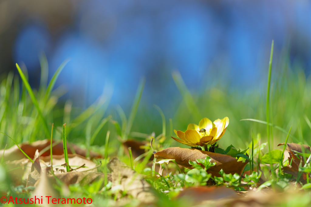 もう！！(with昆虫)