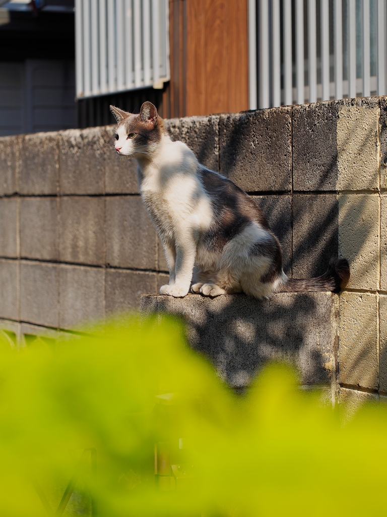 またまた、やって来ました(^^)