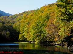 青森県・八甲田山近辺にて