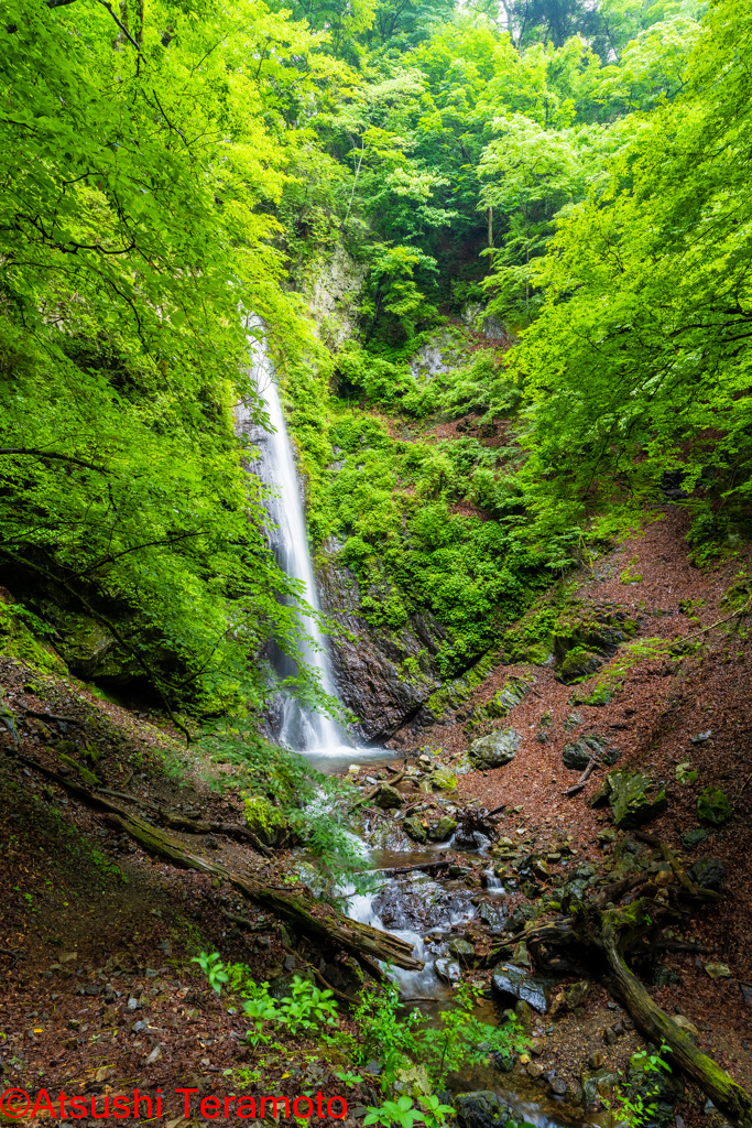 白糸の滝