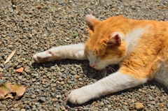 浄妙寺にて・・・